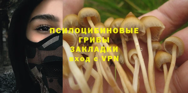 соль курить ск Верхний Тагил