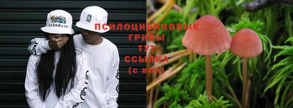 соль курить ск Верхний Тагил