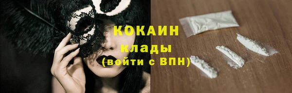 гашик Верея
