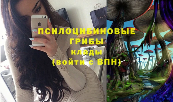 мдпв Верхнеуральск
