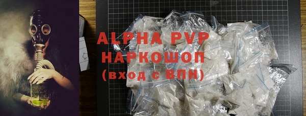гашик Верея
